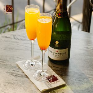 Mimosa at La Route Des Vins - Huexotitla in Puebla
