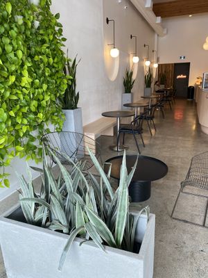 Dining  at Pinkavo Cafe in Langley