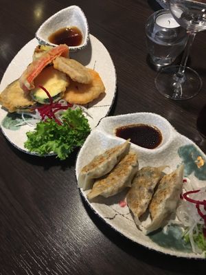 tenpura and (vegan) Gyoza at Osaka - Dudweilerstrasse in Saarbrucken