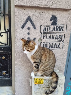  at Vegan Dükkan Lokanta - The Eatery in Istanbul