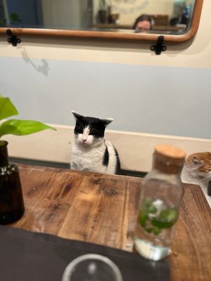  at Vegan Dükkan Lokanta - The Eatery in Istanbul