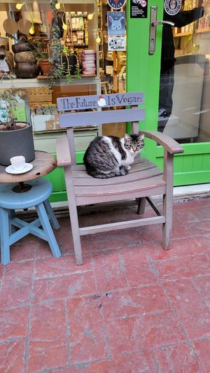  at Vegan Dükkan Lokanta - The Eatery in Istanbul