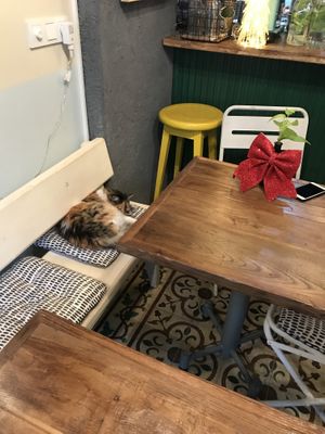 I love this place, owners and foods 😊❤️  at Vegan Dükkan Lokanta - The Eatery in Istanbul