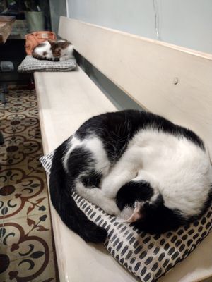  at Vegan Dükkan Lokanta - The Eatery in Istanbul