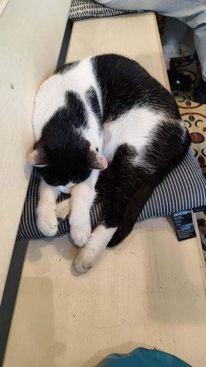  at Vegan Dükkan Lokanta - The Eatery in Istanbul