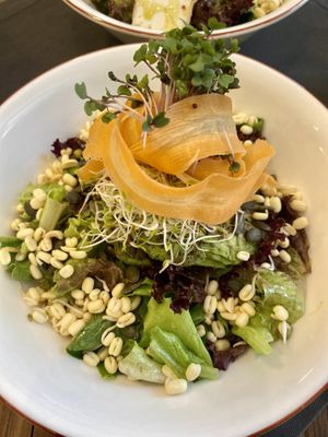 Avacado salad   at Vegan Dükkan Lokanta - The Eatery in Istanbul