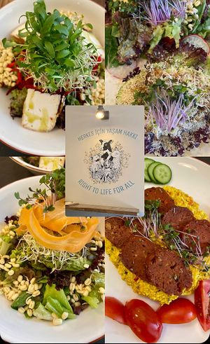   at Vegan Dükkan Lokanta - The Eatery in Istanbul