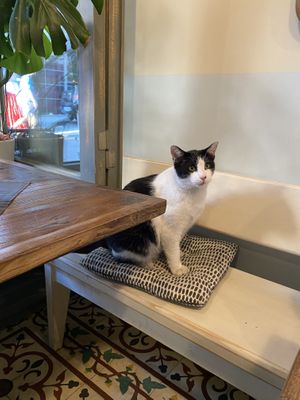   at Vegan Dükkan Lokanta - The Eatery in Istanbul