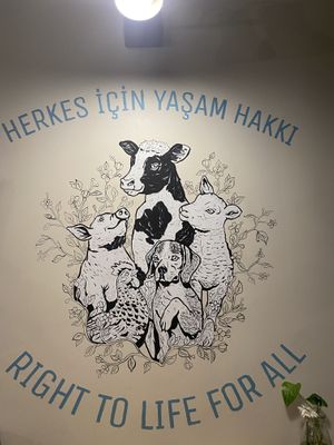   at Vegan Dükkan Lokanta - The Eatery in Istanbul