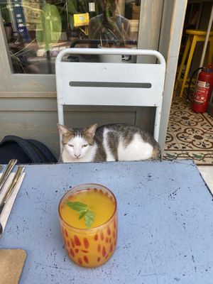   at Vegan Dükkan Lokanta - The Eatery in Istanbul