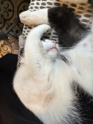   at Vegan Dükkan Lokanta - The Eatery in Istanbul