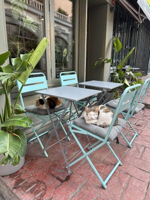   at Vegan Dükkan Lokanta - The Eatery in Istanbul