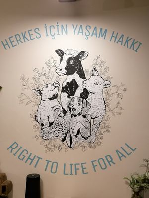  at Vegan Dükkan Lokanta - The Eatery in Istanbul