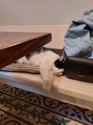 c at Vegan Dükkan Lokanta - The Eatery in Istanbul