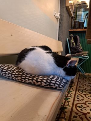 Indoor seating at Vegan Dükkan Lokanta - The Eatery in Istanbul