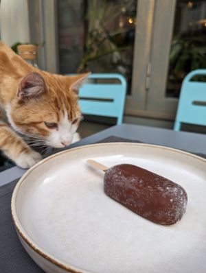  at Vegan Dükkan Lokanta - The Eatery in Istanbul