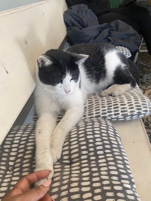   at Vegan Dükkan Lokanta - The Eatery in Istanbul