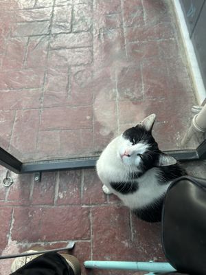   at Vegan Dükkan Lokanta - The Eatery in Istanbul