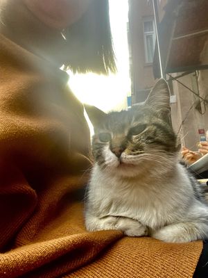   at Vegan Dükkan Lokanta - The Eatery in Istanbul