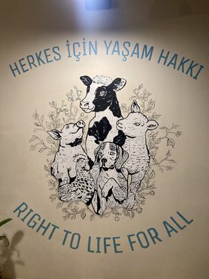 Love this ❣️  at Vegan Dükkan Lokanta - The Eatery in Istanbul