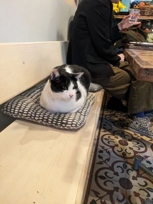  at Vegan Dükkan Lokanta - The Eatery in Istanbul