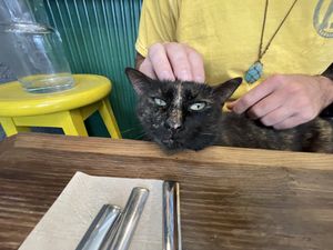   at Vegan Dükkan Lokanta - The Eatery in Istanbul