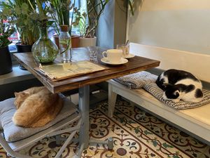   at Vegan Dükkan Lokanta - The Eatery in Istanbul