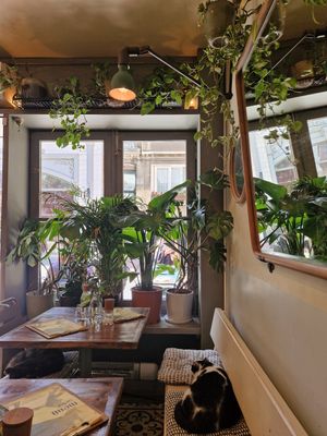  at Vegan Dükkan Lokanta - The Eatery in Istanbul