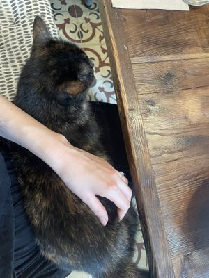   at Vegan Dükkan Lokanta - The Eatery in Istanbul