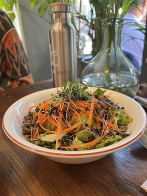 Avocado salad (goes very well with the tzatziki dip)   at Vegan Dükkan Lokanta - The Eatery in Istanbul