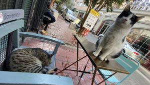   at Vegan Dükkan Lokanta - The Eatery in Istanbul