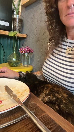   at Vegan Dükkan Lokanta - The Eatery in Istanbul