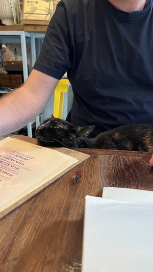   at Vegan Dükkan Lokanta - The Eatery in Istanbul