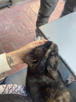   at Vegan Dükkan Lokanta - The Eatery in Istanbul