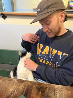   at Vegan Dükkan Lokanta - The Eatery in Istanbul