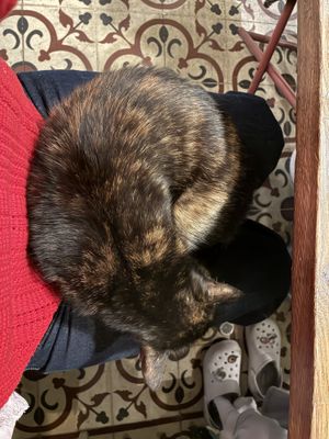   at Vegan Dükkan Lokanta - The Eatery in Istanbul