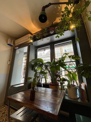 A lot of plants! at Vegan Dükkan Lokanta - The Eatery in Istanbul