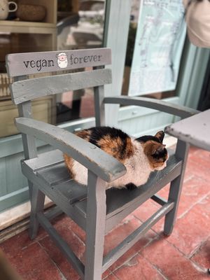   at Vegan Dükkan Lokanta - The Eatery in Istanbul