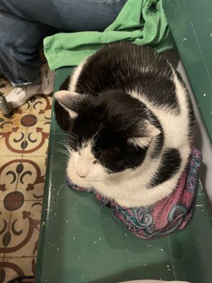   at Vegan Dükkan Lokanta - The Eatery in Istanbul