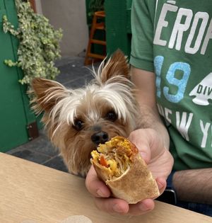 Breakfast burrito   at Catalyst Coffee - Beach  in Bray