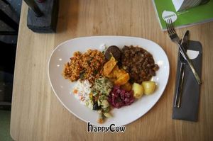 seitan ragout, carrot curry, and more  at Yamm in Vienna