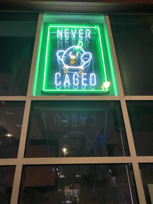 Ever Caged... so sad.  at Never Caged in Los Angeles