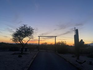   at Rancho Vegano in Tucson