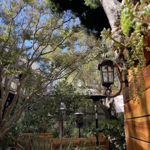   at Arbor in San Francisco