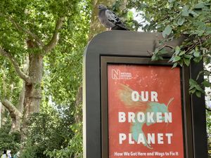   at Natural History Museum in South West London