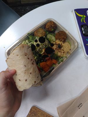  at Natural History Museum in South West London