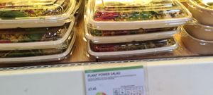  at Natural History Museum in South West London