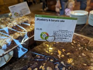  at Natural History Museum in South West London