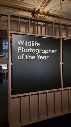 Wildlife photographer of the year at Natural History Museum in South West London