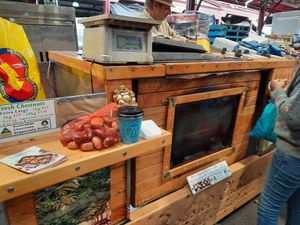 Bring cash at Roasted Chestnuts in Melbourne